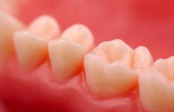 A close up of a tooth on a pink background.